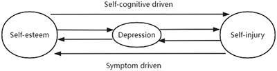 Relationships among self-esteem, depression and self-injury in adolescents: a longitudinal study